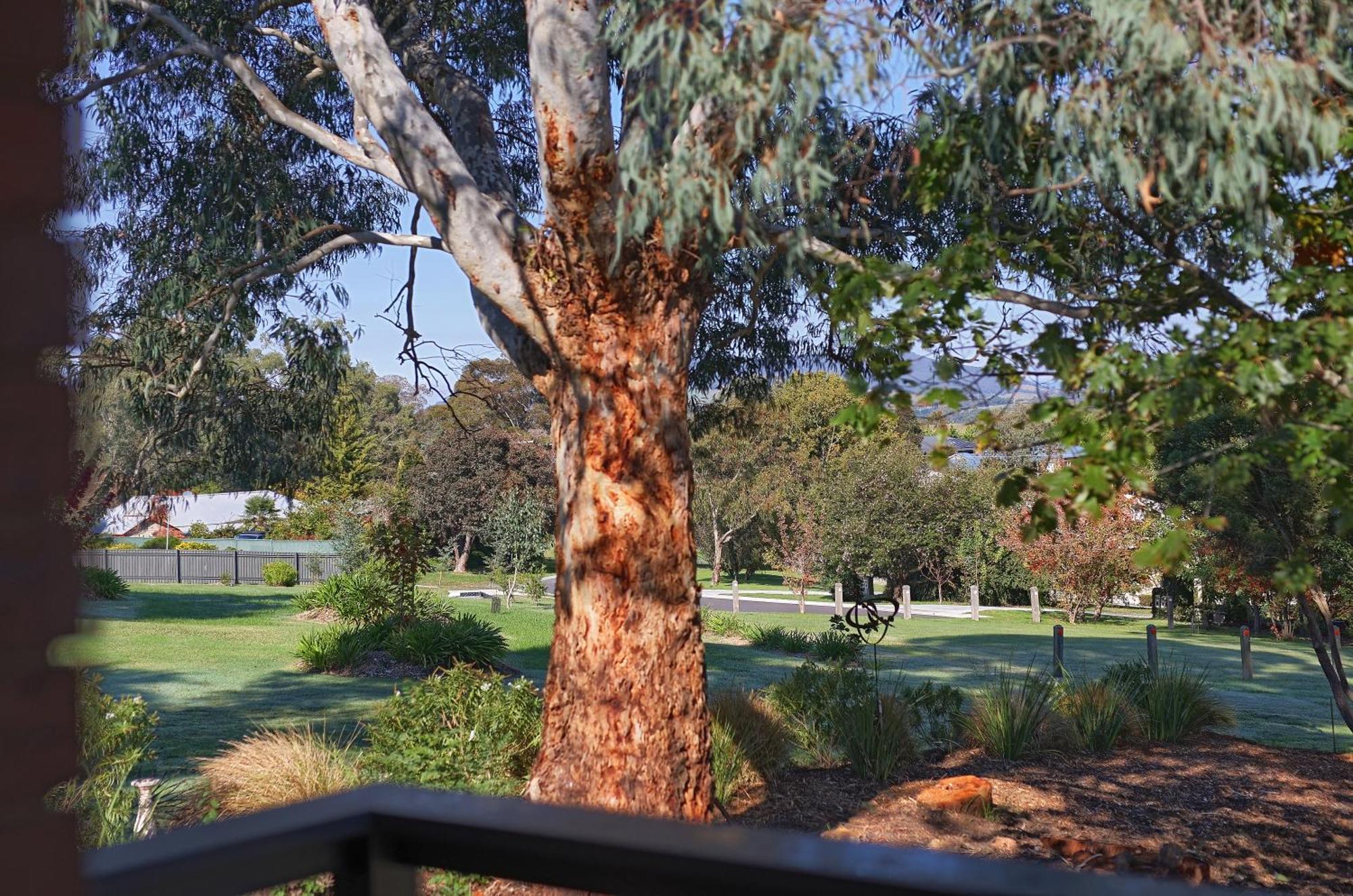 希尔斯维尔 Yarra Gables汽车旅馆 外观 照片